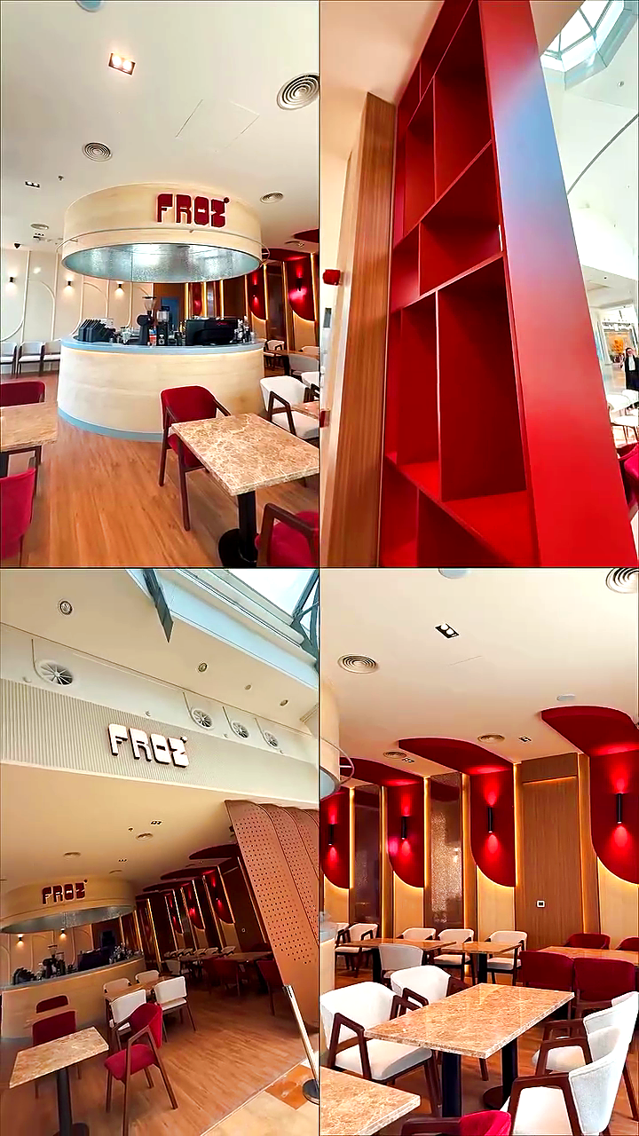 FROZ interior collage